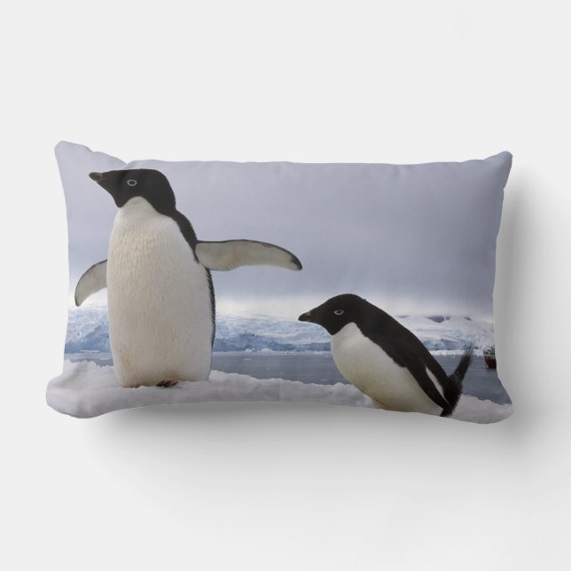 Pair Adelie penguins Antarctica Kussen (Voorkant)