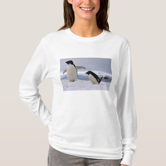 Pair Adelie penguins Antarctica T-shirt (Voorkant)