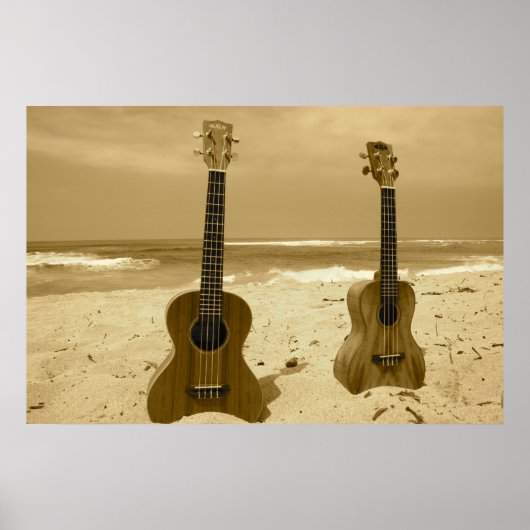 Pair o' Ukes Poster (Voorkant)