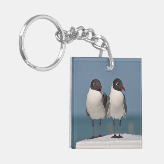 Pair of Black Headed Gulls Sleutelhanger (Voorkant Links)