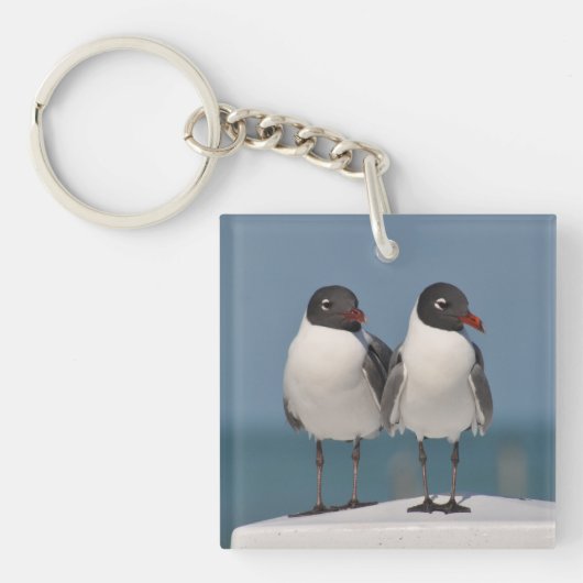 Pair of Black Headed Gulls Sleutelhanger (Voorkant)