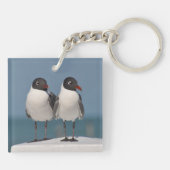 Pair of Black Headed Gulls Sleutelhanger (Achterkant)