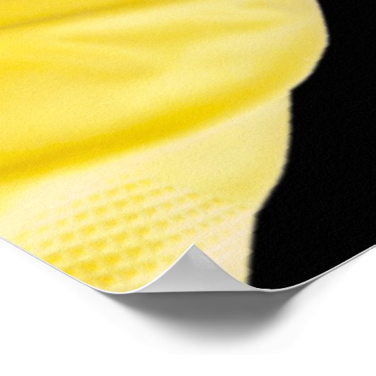 Pair of latex gloves poster (Hoek)