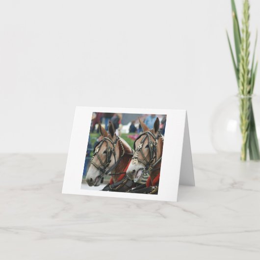 Pair of mules in harness kaart (Voorkant)