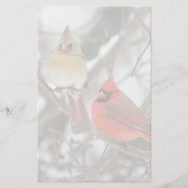 Pair Of Northern Cardinals (Voorkant)