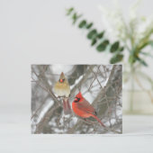 Pair Of Northern Cardinals Briefkaart (Staand voorkant)