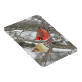 Pair Of Northern Cardinals Magneet (Rechterzijde)