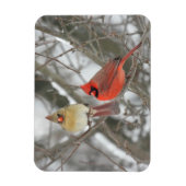 Pair Of Northern Cardinals Magneet (Verticaal)