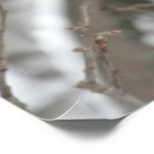 Pair Of Northern Cardinals Poster (Hoek)