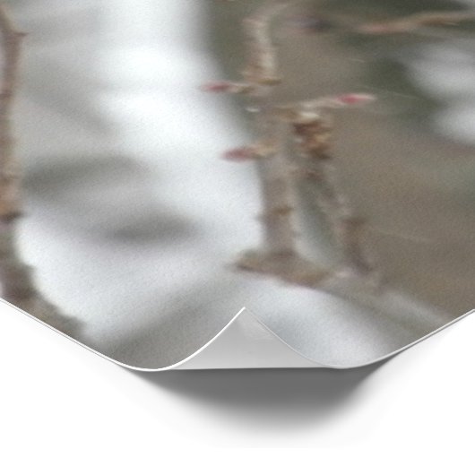 Pair Of Northern Cardinals Poster (Hoek)