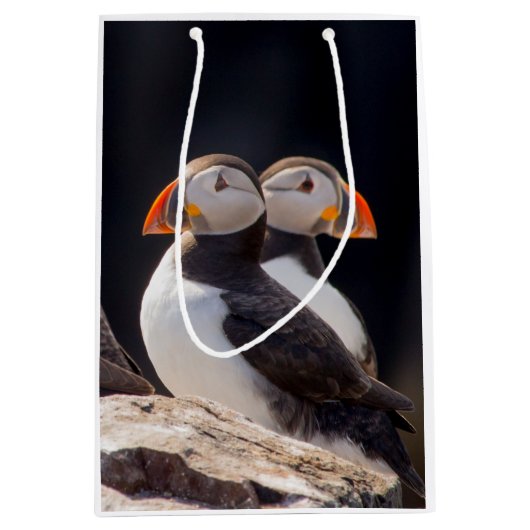 Pair of Puffins Medium Cadeauzakje (Voorkant)