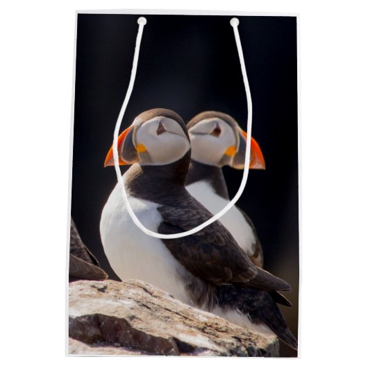 Pair of Puffins Medium Cadeauzakje (Achterkant)