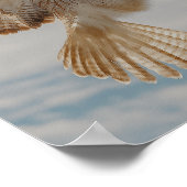 Pair of red-tailed hawks in courtship dance poster (Hoek)