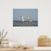 Pair of Seagulls Poster (Keuken)