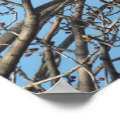 PAIR VAN GREAT HORNED OWLS 2 (Bubo virginianus) Poster (Hoek)