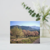 Paisaje campestre con árboles, Alicante, España Briefkaart (Staand voorkant)