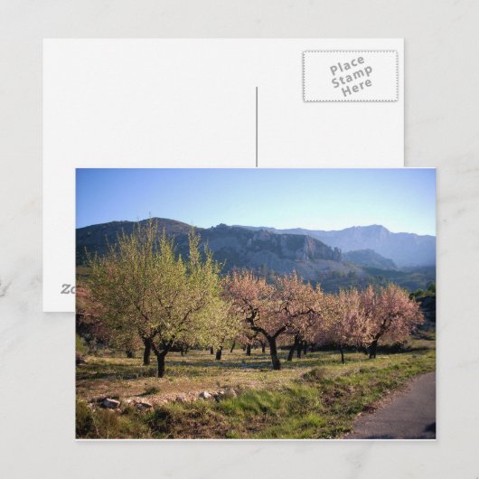 Paisaje campestre con árboles, Alicante, España Briefkaart (Voorkant / Achterkant)
