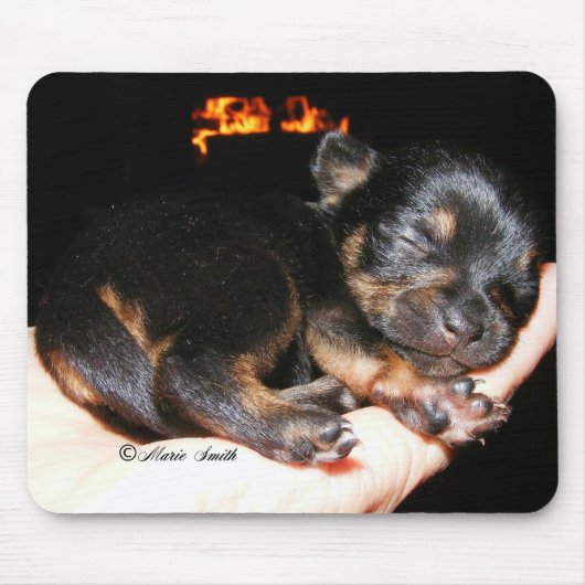 Paisley Marie 1 Muismat (Voorkant)