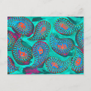 Paisley mola, mola paisley briefkaart