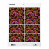 Paisley Paars Etiket (Full Sheet)