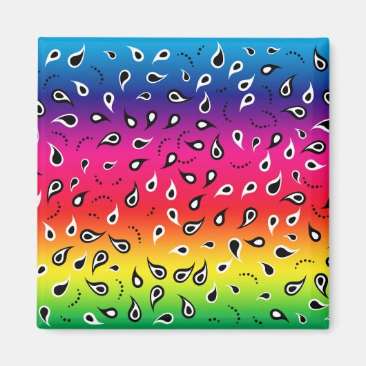 Paisley Rainbow Magneet (Voorkant)