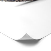 Paisleykat Poster (Hoek)