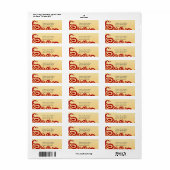 Paisleys Elegant Indiase retour adres label (Full Sheet)