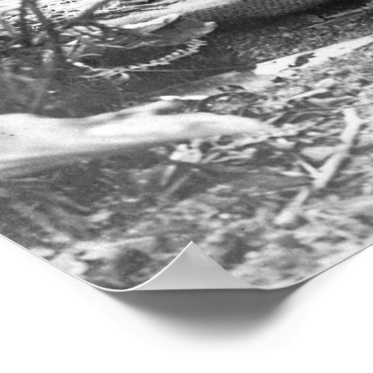 Paiute Basket Maker: 1902 Poster (Hoek)