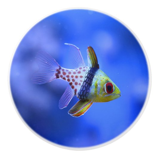 Pajama Cardinalfish Ceramic Knob Keramische Knop (Voorkant)