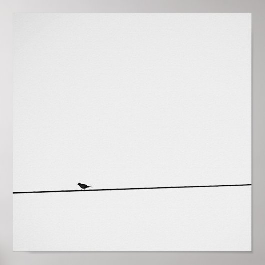 Pájaro posado en blanco y negro poster (Voorkant)