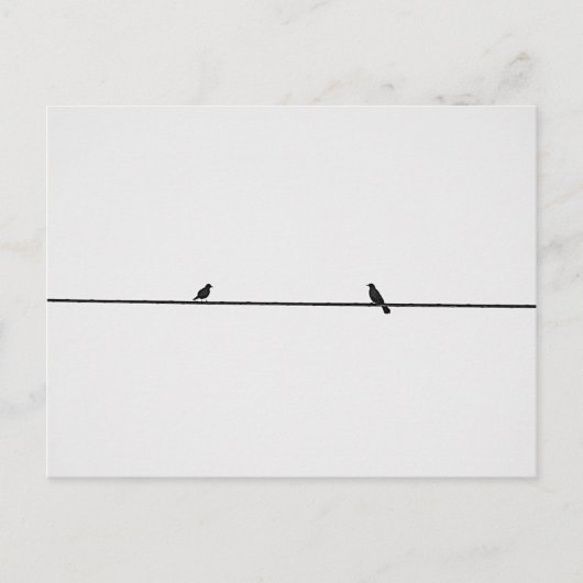 Pájaros Amigos Briefkaart (Voorkant)