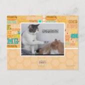 Pak. Briefkaart (Voorkant)