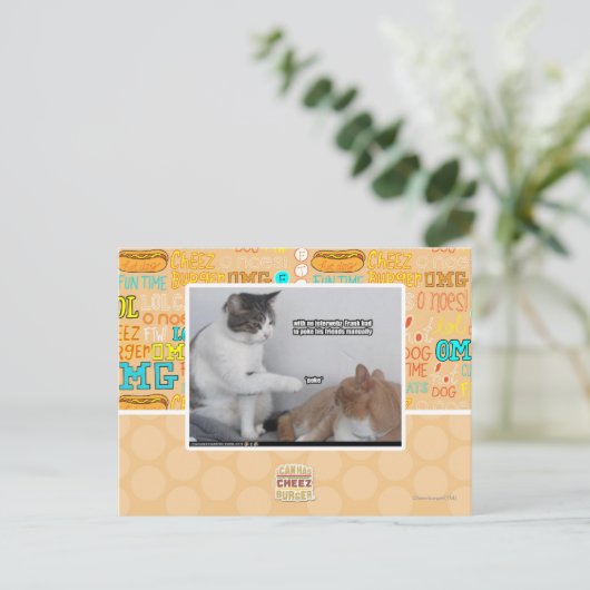 Pak. Briefkaart (Staand voorkant)