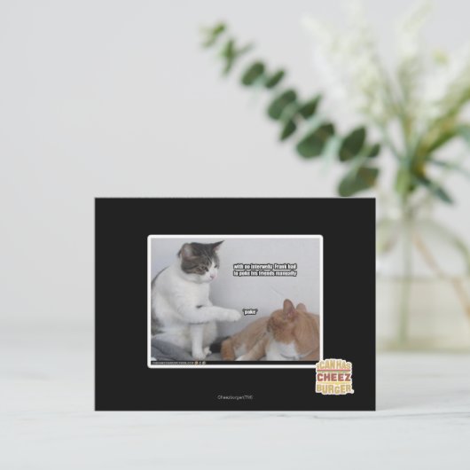 Pak. Briefkaart (Staand voorkant)