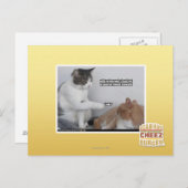 Pak. Briefkaart (Voorkant / Achterkant)