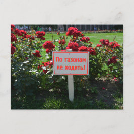 Pak de bloemen niet aan, Sint-Petersburg, Rusland Briefkaart