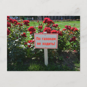 Pak de bloemen niet aan, Sint-Petersburg, Rusland Briefkaart