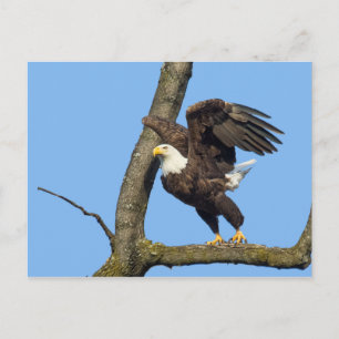 Pak de Leap. Briefkaart