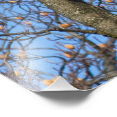 Pak de Leap. Foto Afdruk (Hoek)