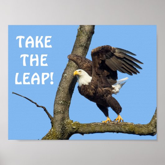 Pak de Leap. Poster (Voorkant)