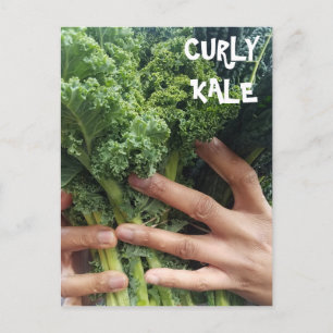 Pak een Bunch van Curly Kale Briefkaart