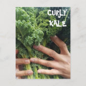 Pak een Bunch van Curly Kale Briefkaart (Voorkant)