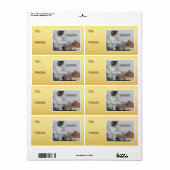 Pak. Etiket (Full Sheet)