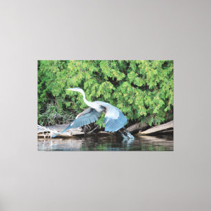 Pak je voeten op canvas afdruk