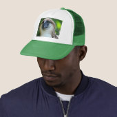 pak me trucker pet (In situ)