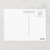 Pak Uw Zakken aan het Briefkaart van Alaska in (Achterkant)