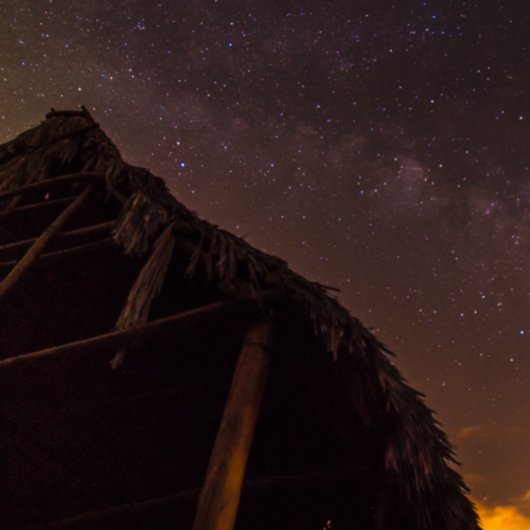 PAKE SALMON - HAWAÏAANSE KUNSTKALENDER 2024 KALENDER