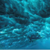 PAKE SALMON - HAWAÏAANSE KUNSTKALENDER 2024 KALENDER