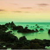 PAKE SALMON - HAWAÏAANSE KUNSTKALENDER 2024 KALENDER