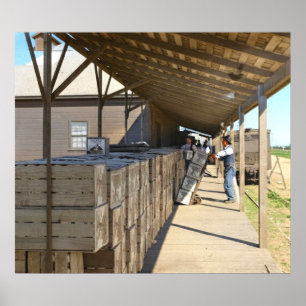 Pakhok Voor Verzending Sinaasappels Ontario CA 191 Poster